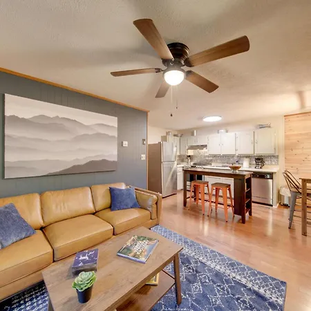 Pet-Friendly Ellijay Cabin In The Woods On 1 Acre!
